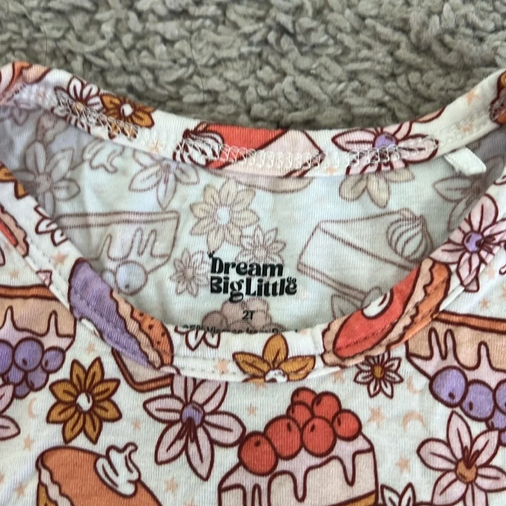 Dream Big Little Bamboo Thanksgiving Pie Skater Dress